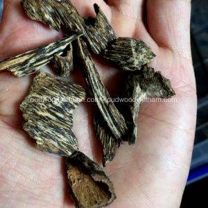 Wild Oud Wood Agarwood Chips | Kien Rung A | Grade A+