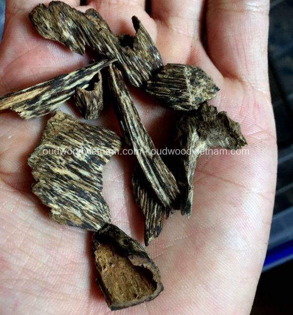 Agarwood Chips Oud Chips Incense Aroma | Natural Wild and Rare Agarwood Chips from Oudwood Vietnam | Pure Material Grade A++ (Kien Rung A)