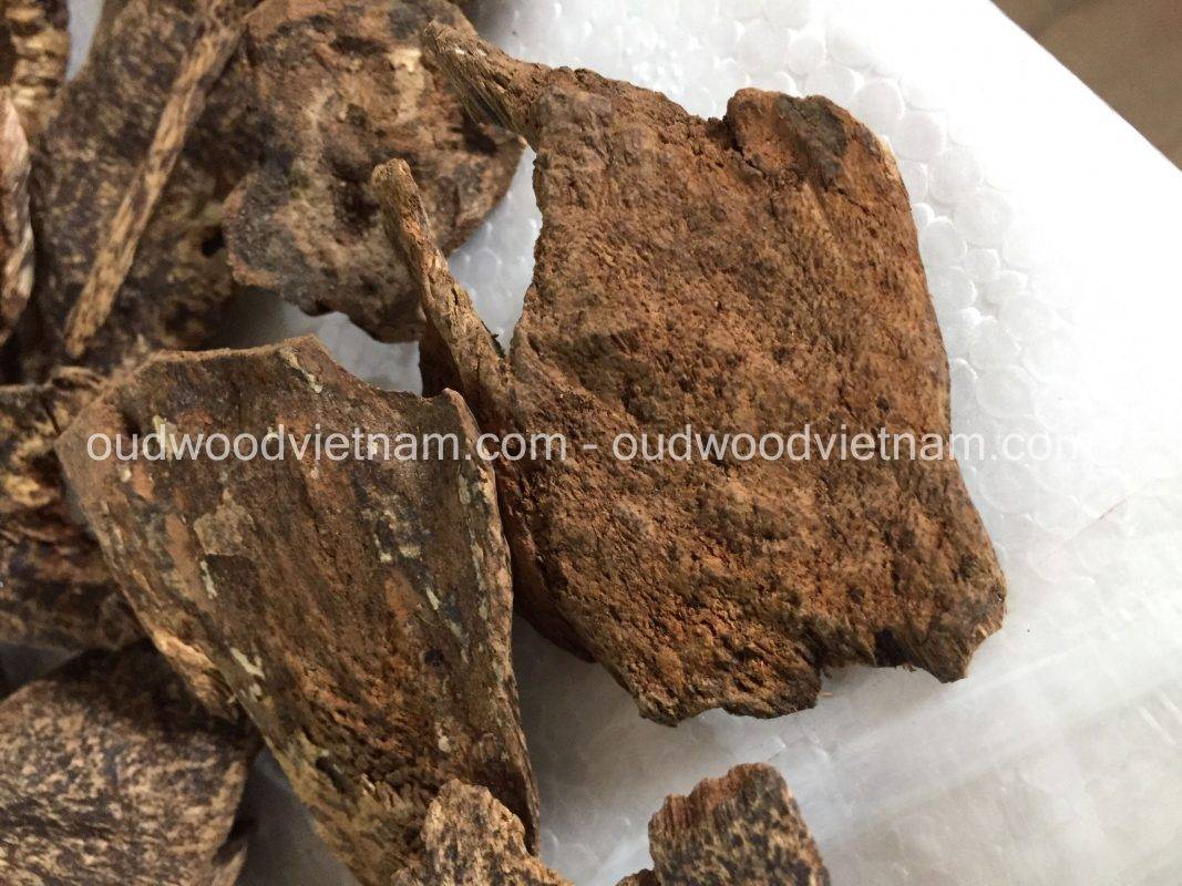 Sink agarwood chips oud wood OUD WOOD AGARWOOD KINAM