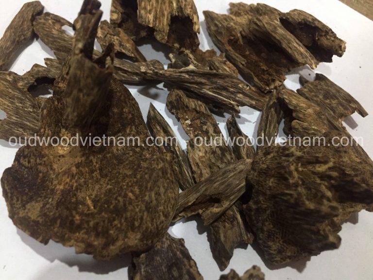 Vietnam best oud wood chips wild agarwood OUD WOOD AGARWOOD KINAM