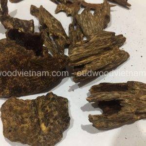 Wild Oud Wood Agarwood Chips | Kien Ruc Nha Trang | Grade A+