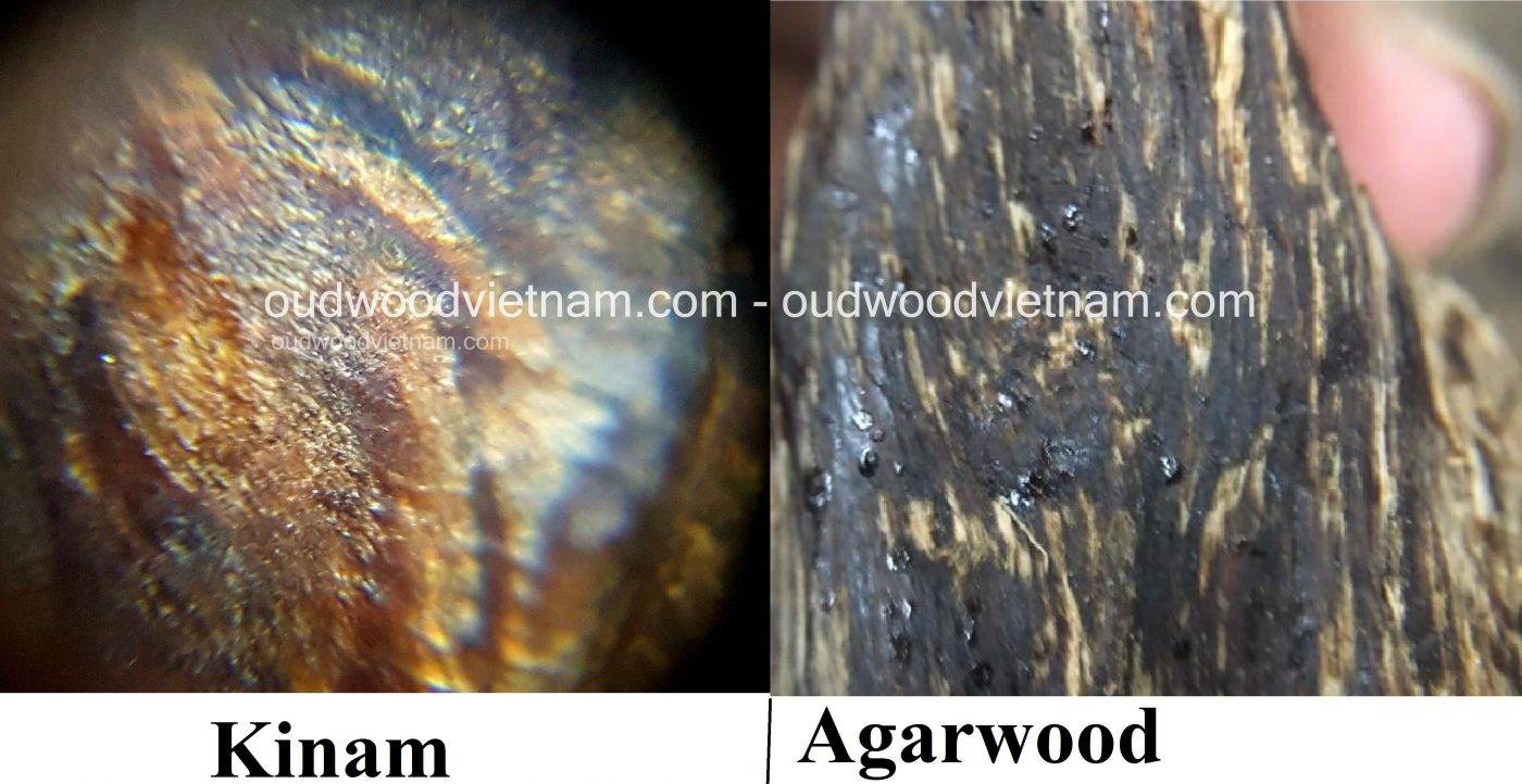 kynam agarwood price