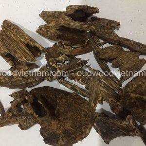 Wild Oud Wood Agarwood Chips | Kien Ruc Nha Trang | Grade A+