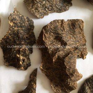 Nha Trang Wild Sink Oud Wood Agarwood Chip | Grade A++