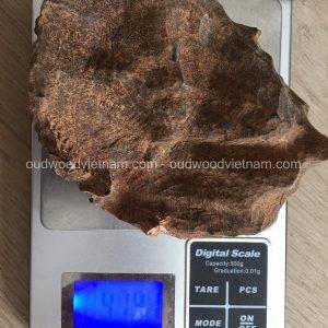 Vietnam Nha Trang Half Sinking Wild Agarwood Oud Piece