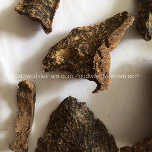 Nha Trang Wild Sink Oud Wood Agarwood Chip | Grade A++