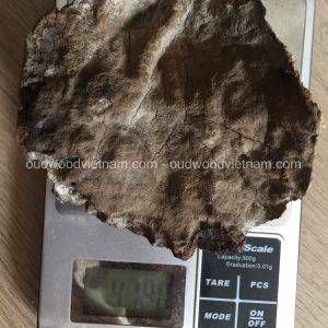 Vietnam Nha Trang Half Sinking Wild Agarwood Oud Piece