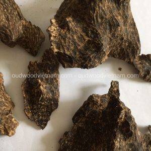Nha Trang Wild Sink Oud Wood Agarwood Chip | Grade A++