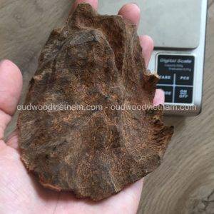 Vietnam Nha Trang Half Sinking Wild Agarwood Oud Piece