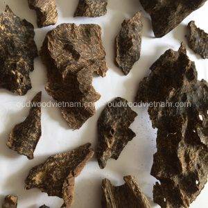 Nha Trang Wild Sink Oud Wood Agarwood Chip | Grade A++