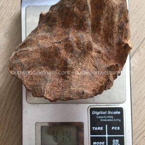 Vietnam Nha Trang Half Sinking Wild Agarwood Oud Piece