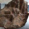 Vietnam Nha Trang Half Sinking Wild Agarwood Oud Piece