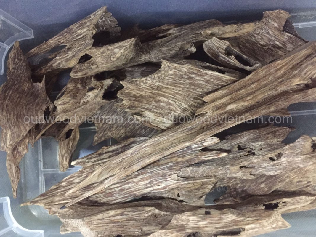 Bakhoor oud agarwood for sale OUD WOOD AGARWOOD KINAM