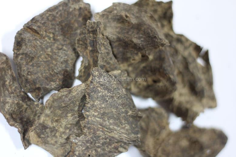 Oud oil benefits you should know about - OUD WOOD AGARWOOD KINAM
